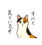 三毛猫のきぶん（個別スタンプ：10）