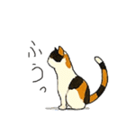 三毛猫のきぶん（個別スタンプ：11）