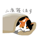 三毛猫のきぶん（個別スタンプ：14）