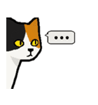 三毛猫のきぶん（個別スタンプ：15）