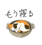 三毛猫のきぶん（個別スタンプ：19）