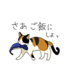 三毛猫のきぶん（個別スタンプ：21）