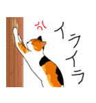 三毛猫のきぶん（個別スタンプ：23）