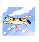 三毛猫のきぶん（個別スタンプ：24）