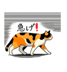 三毛猫のきぶん（個別スタンプ：26）