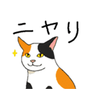 三毛猫のきぶん（個別スタンプ：27）