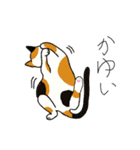 三毛猫のきぶん（個別スタンプ：28）
