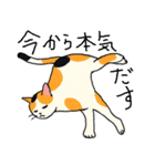 三毛猫のきぶん（個別スタンプ：29）