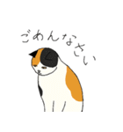 三毛猫のきぶん（個別スタンプ：34）
