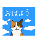 三毛猫のきぶん（個別スタンプ：40）