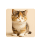 こねこのつぶやき、リアル三毛猫編（個別スタンプ：3）