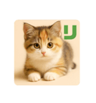 こねこのつぶやき、リアル三毛猫編（個別スタンプ：7）