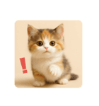 こねこのつぶやき、リアル三毛猫編（個別スタンプ：10）
