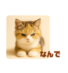 こねこのつぶやき、リアル三毛猫編（個別スタンプ：12）