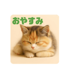 こねこのつぶやき、リアル三毛猫編（個別スタンプ：13）