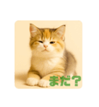 こねこのつぶやき、リアル三毛猫編（個別スタンプ：16）