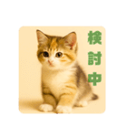 こねこのつぶやき、リアル三毛猫編（個別スタンプ：21）