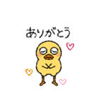 ぽけっとひよこさん（個別スタンプ：14）
