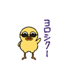ぽけっとひよこさん（個別スタンプ：16）