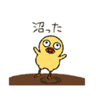 ぽけっとひよこさん（個別スタンプ：21）
