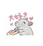 動く！チンチラちゃんがいっぱい（個別スタンプ：3）