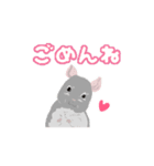 動く！チンチラちゃんがいっぱい（個別スタンプ：4）