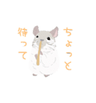 動く！チンチラちゃんがいっぱい（個別スタンプ：13）