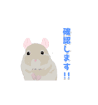動く！チンチラちゃんがいっぱい（個別スタンプ：14）