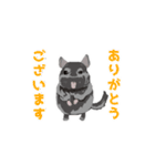 動く！チンチラちゃんがいっぱい（個別スタンプ：15）