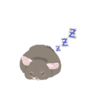 動く！チンチラちゃんがいっぱい（個別スタンプ：16）