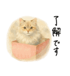 ◉使いたくなる猫◉長毛＆短毛（個別スタンプ：1）