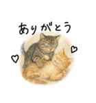 ◉使いたくなる猫◉長毛＆短毛（個別スタンプ：3）