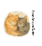◉使いたくなる猫◉長毛＆短毛（個別スタンプ：5）