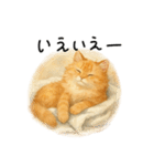 ◉使いたくなる猫◉長毛＆短毛（個別スタンプ：7）