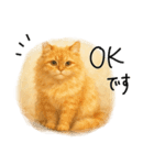 ◉使いたくなる猫◉長毛＆短毛（個別スタンプ：8）
