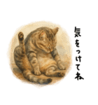 ◉使いたくなる猫◉長毛＆短毛（個別スタンプ：10）