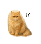 ◉使いたくなる猫◉長毛＆短毛（個別スタンプ：16）