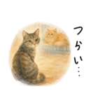 ◉使いたくなる猫◉長毛＆短毛（個別スタンプ：17）