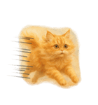 ◉使いたくなる猫◉長毛＆短毛（個別スタンプ：20）