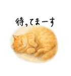 ◉使いたくなる猫◉長毛＆短毛（個別スタンプ：22）