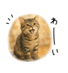 ◉使いたくなる猫◉長毛＆短毛（個別スタンプ：26）