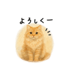 ◉使いたくなる猫◉長毛＆短毛（個別スタンプ：27）