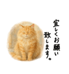 ◉使いたくなる猫◉長毛＆短毛（個別スタンプ：28）