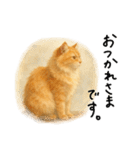 ◉使いたくなる猫◉長毛＆短毛（個別スタンプ：30）