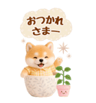 癒し柴犬の気軽な敬語スタンプ【BIG】（個別スタンプ：13）