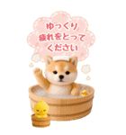 癒し柴犬の気軽な敬語スタンプ【BIG】（個別スタンプ：17）