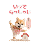 癒し柴犬の気軽な敬語スタンプ【BIG】（個別スタンプ：22）