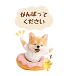 癒し柴犬の気軽な敬語スタンプ【BIG】（個別スタンプ：23）