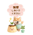 癒し柴犬の気軽な敬語スタンプ【BIG】（個別スタンプ：24）