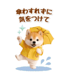 癒し柴犬の気軽な敬語スタンプ【BIG】（個別スタンプ：39）